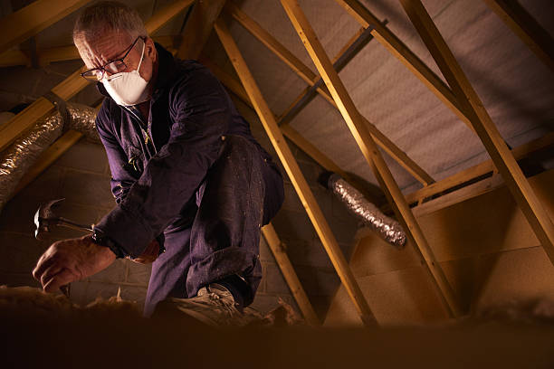 Best Types of Insulation in Wagon Wheel, AZ